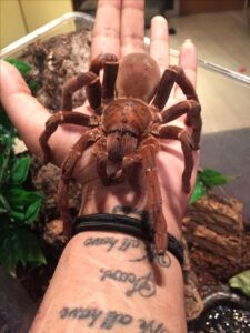 2bee795d-a8e4-4250-90d6-d0dd397dccb9