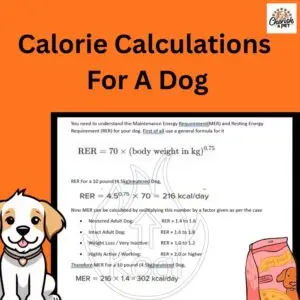 calorie calculator
