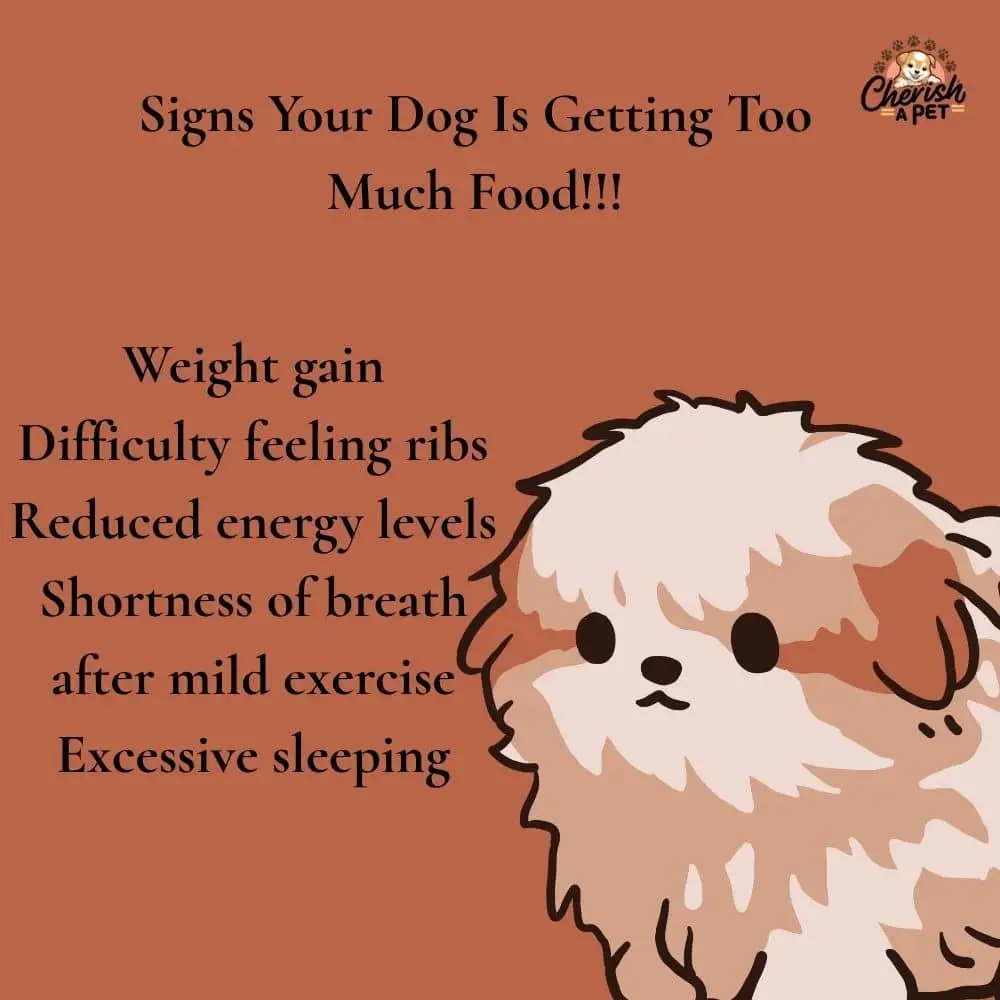 Overfeeding your dog